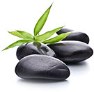 rocks a
